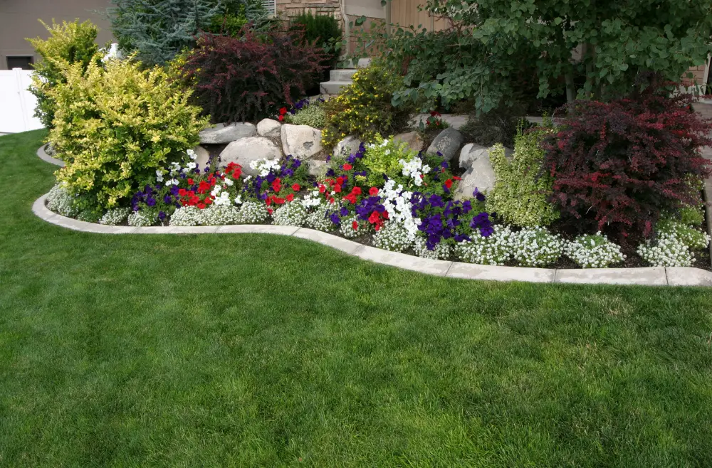 Renovated Landscape