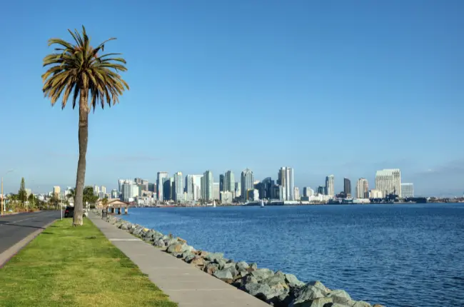 San Diego Skyline