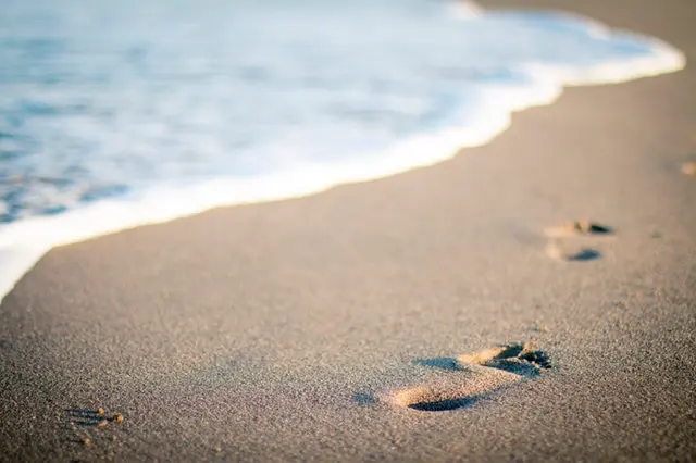Footprints on sand by the beach
