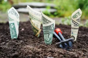 dollar bills in dirt