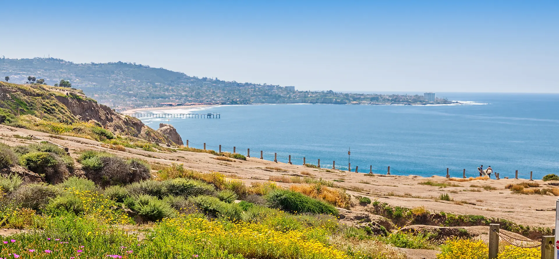 Torrey Pine Property Management