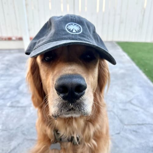 Shelter to Soldier Good Works